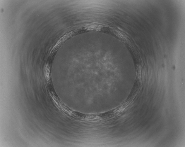 X0000055971154200508221128