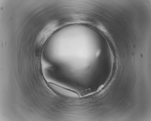 X0000055971177200508221127