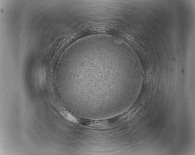 X0000055971201200508221126