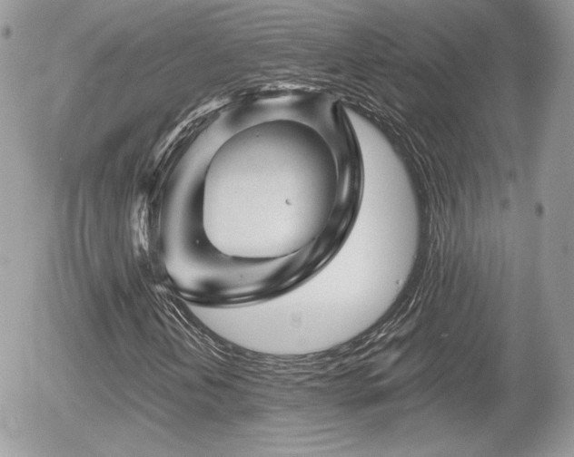 X0000055971202200508221126
