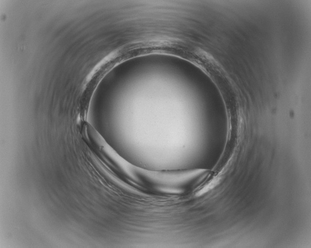 X0000055971210200508221126