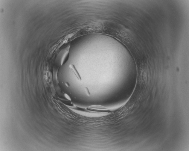 X0000055971250200508221126