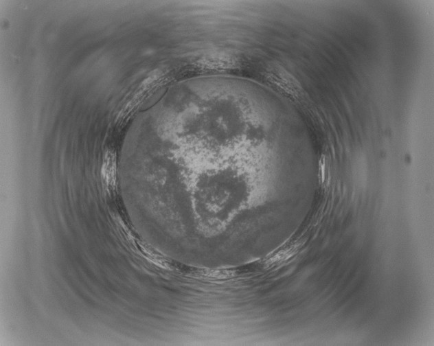 X0000055971251200508221126