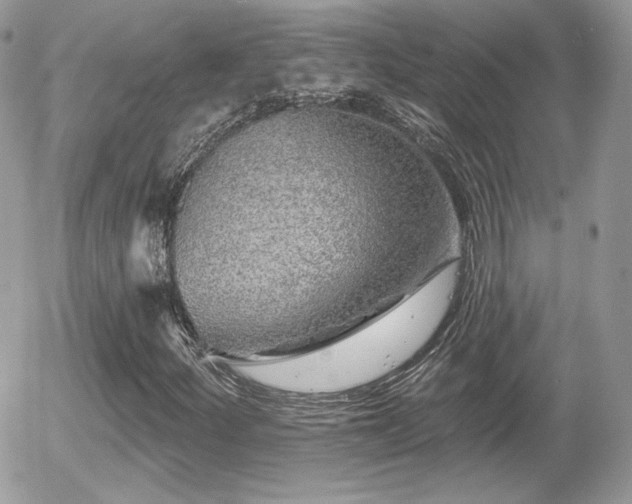 X0000055971252200508221126