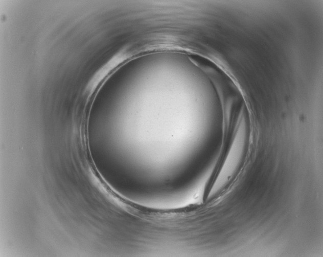 X0000055971293200508221125
