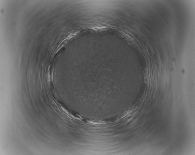 X0000055971298200508221124