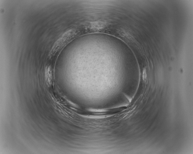 X0000055971299200508221124