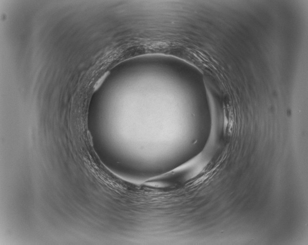 X0000055971345200508221124
