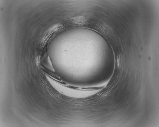 X0000055971347200508221124