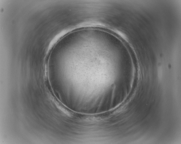 X0000055971366200508221124
