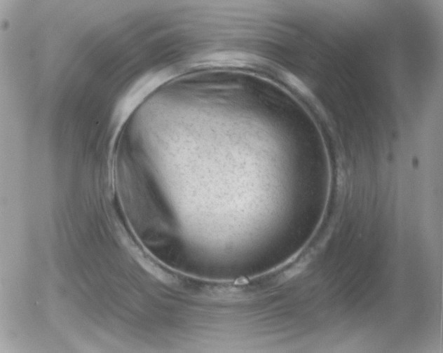 X0000055971370200508221124