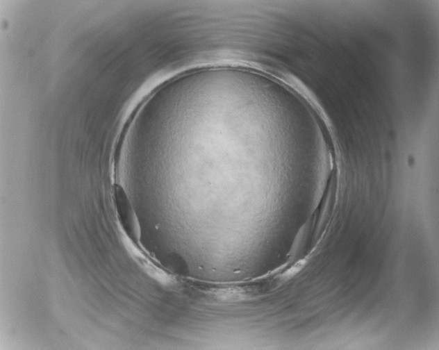 X0000055971388200508221124