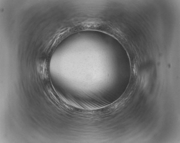 X0000055971396200508221123