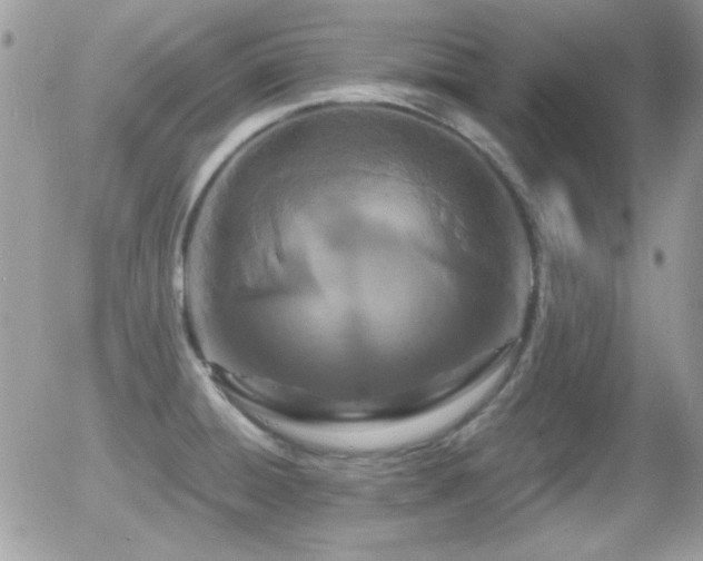 X0000055971428200508221123
