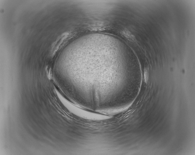X0000055971444200508221123