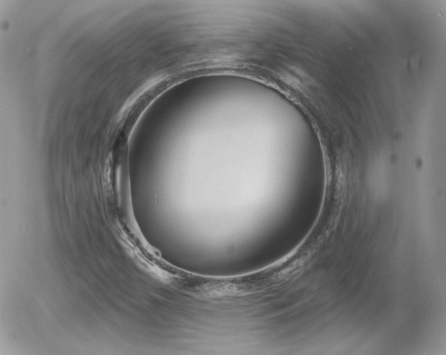 X0000055971450200508221123