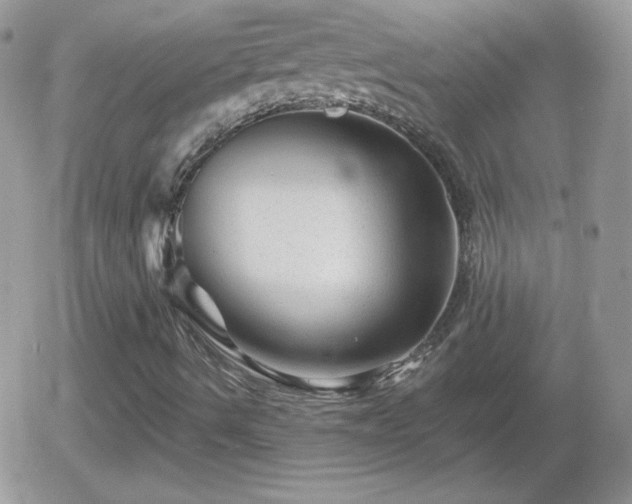 X0000055971490200508221121