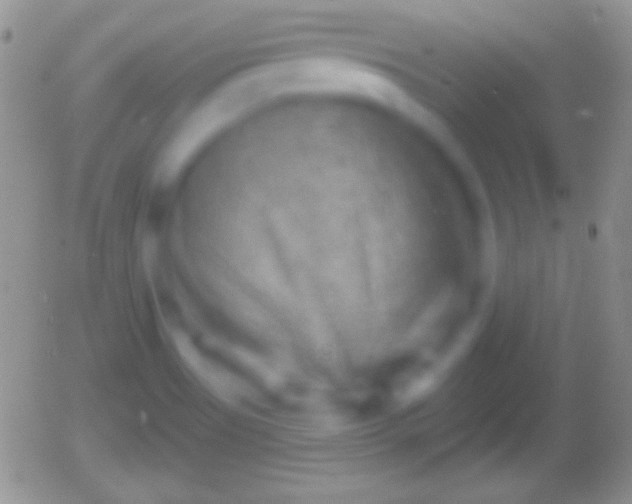 X0000055971513200508221121