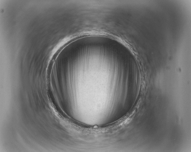 X0000055970008200508261645