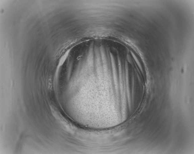 X0000055970017200508261645