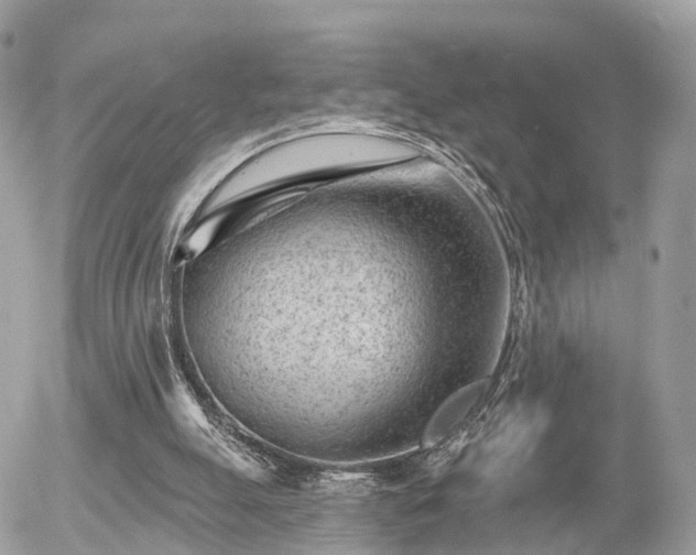 X0000055970055200508261643