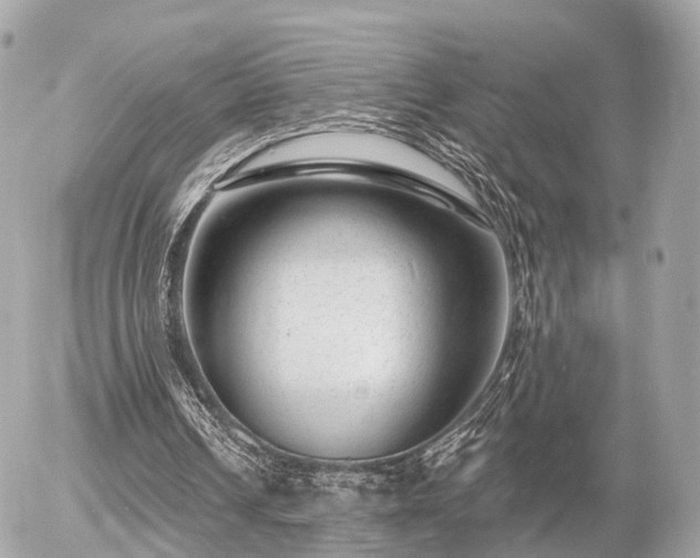 X0000055970242200508261640