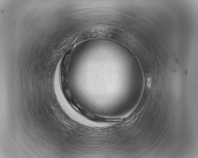 X0000055970771200508261632