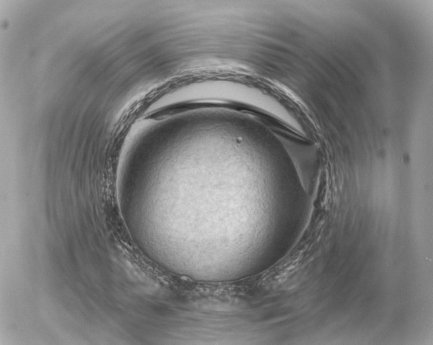 X0000055970775200508261632