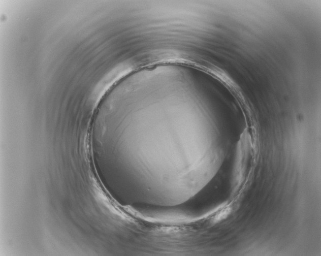 X0000055970806200508261632