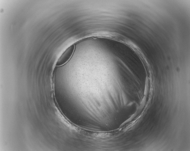 X0000055970808200508261632
