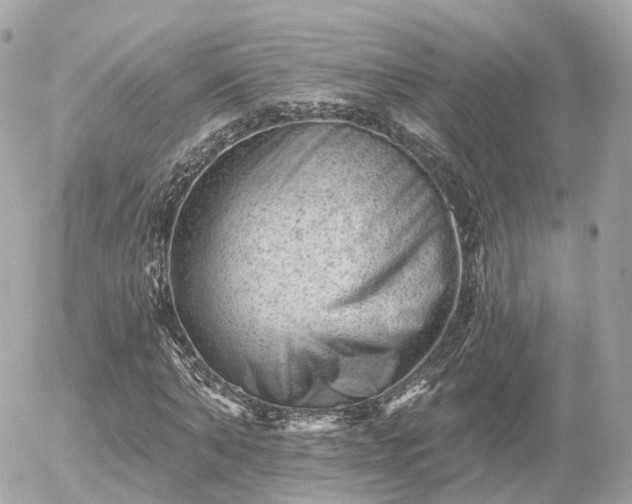 X0000055970870200508261631