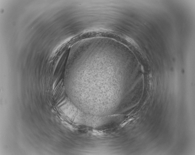 X0000055970872200508261631