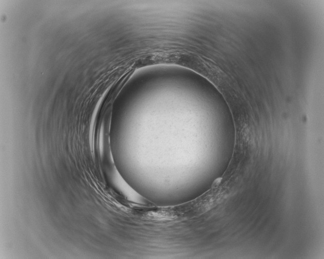 X0000055970914200508261629