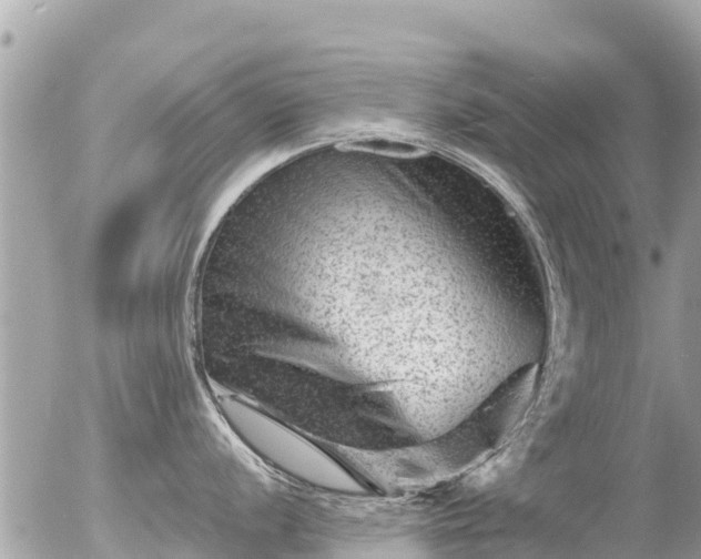X0000055971056200508261628