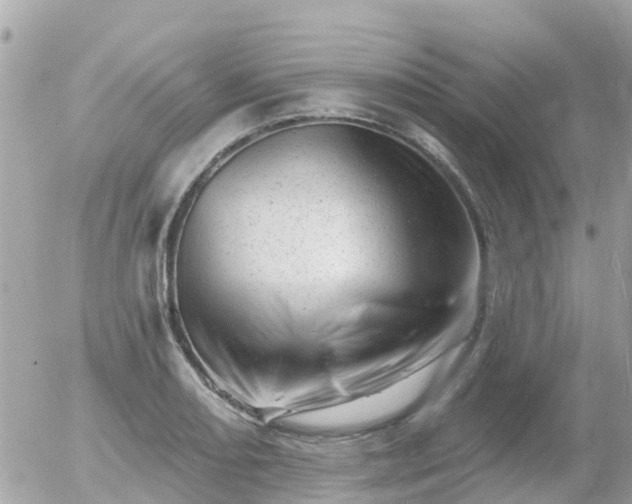 X0000055971082200508261627