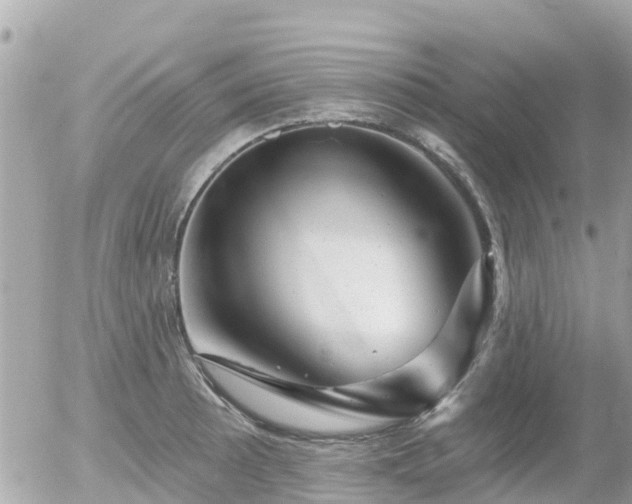 X0000055971089200508261627