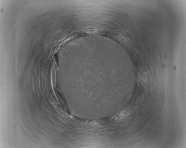 X0000055971106200508261626