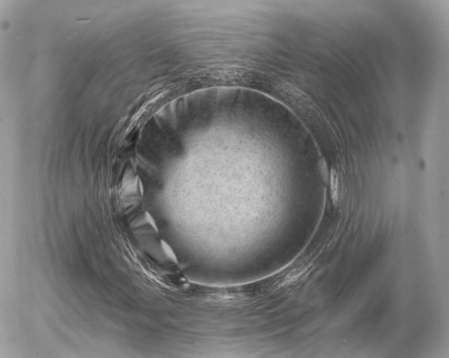 X0000055971107200508261626