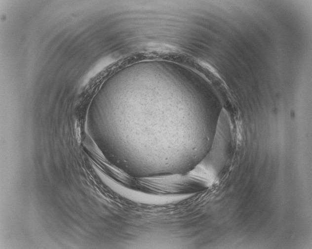X0000055971112200508261626
