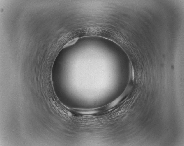 X0000055971153200508261626