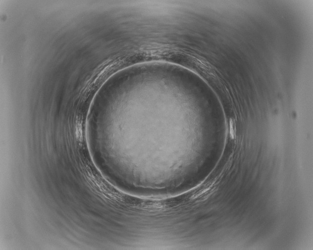 X0000055971155200508261626