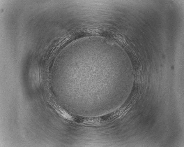 X0000055971201200508261624