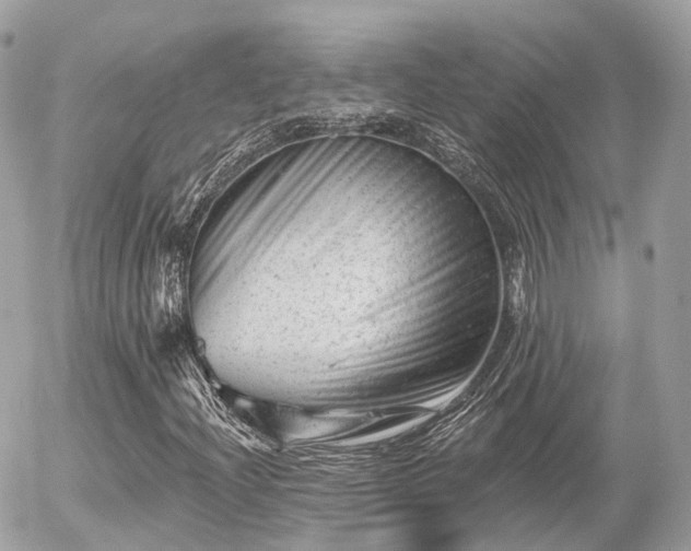 X0000055971204200508261624