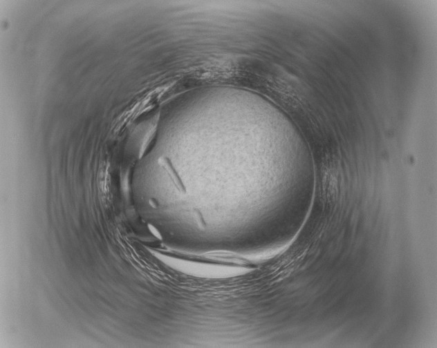 X0000055971250200508261624