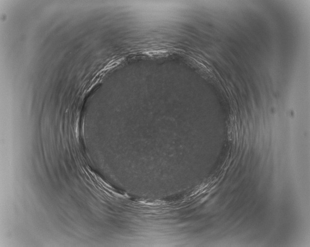 X0000055971298200508261623