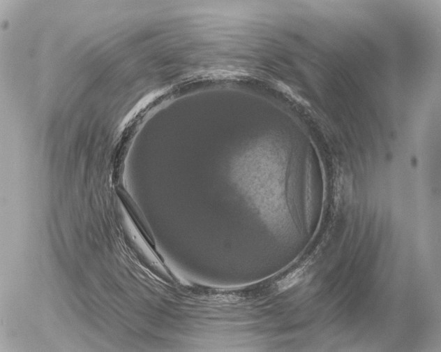 X0000055971306200508261623