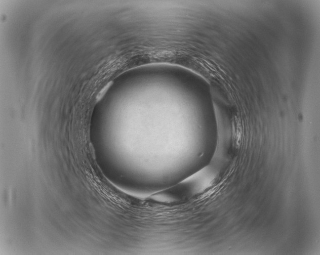 X0000055971345200508261623
