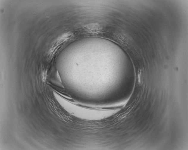 X0000055971347200508261623