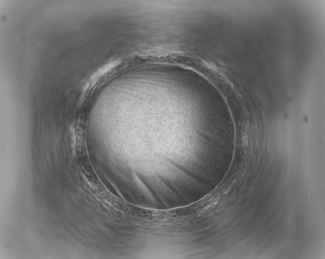 X0000055971350200508261623