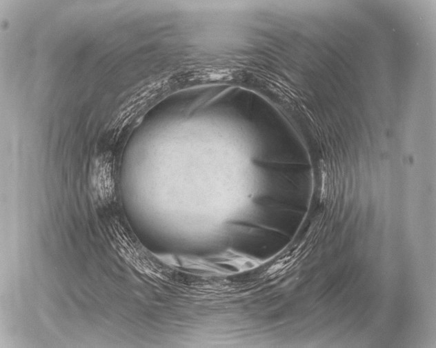 X0000055971442200508261621